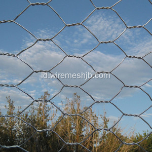 Hot dicelup Galvanized Chicken Wire Mesh